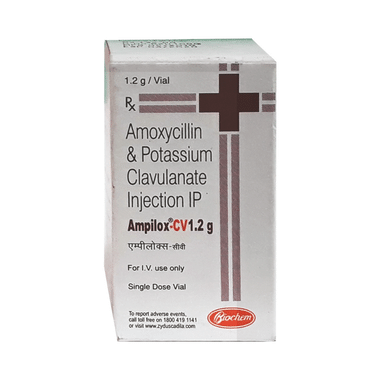 Ampilox CV 1000 mg/200 mg Injection
