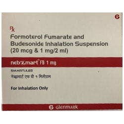 Nebzmart FB 1mg Smartules 2ml