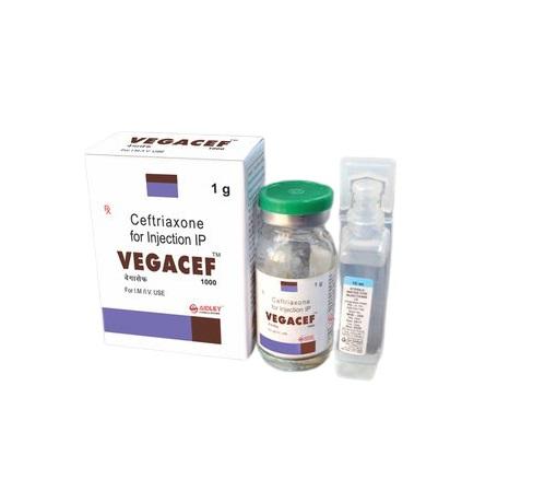 Vegacef 1000mg Injection