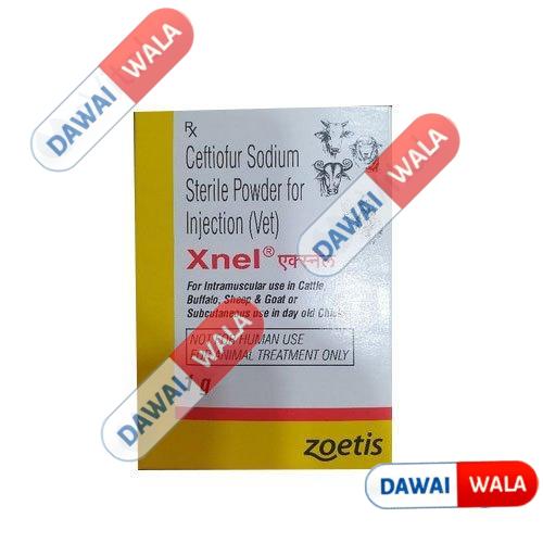 Xnel 1g Injection