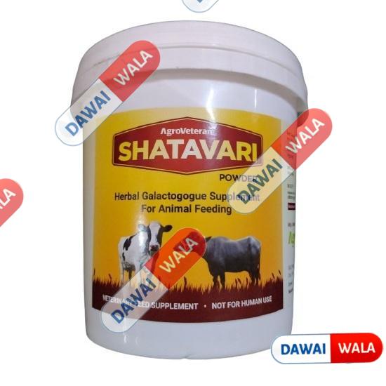 Shatavari Powder