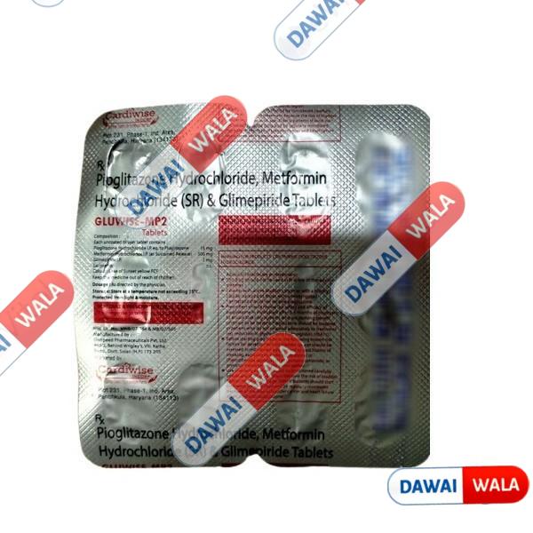 Gluwise-MP 2 Tablet