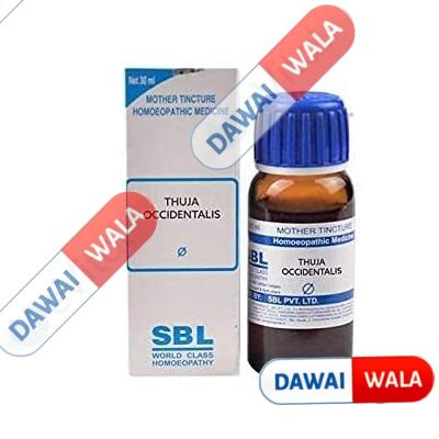 SBL Thuja Occidentalis Liquid