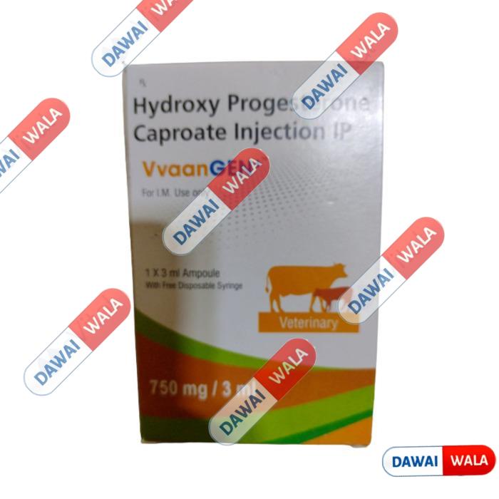 VvaanGen Plus Injection-3ml