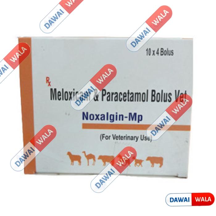Noxalgin-MP Bolus