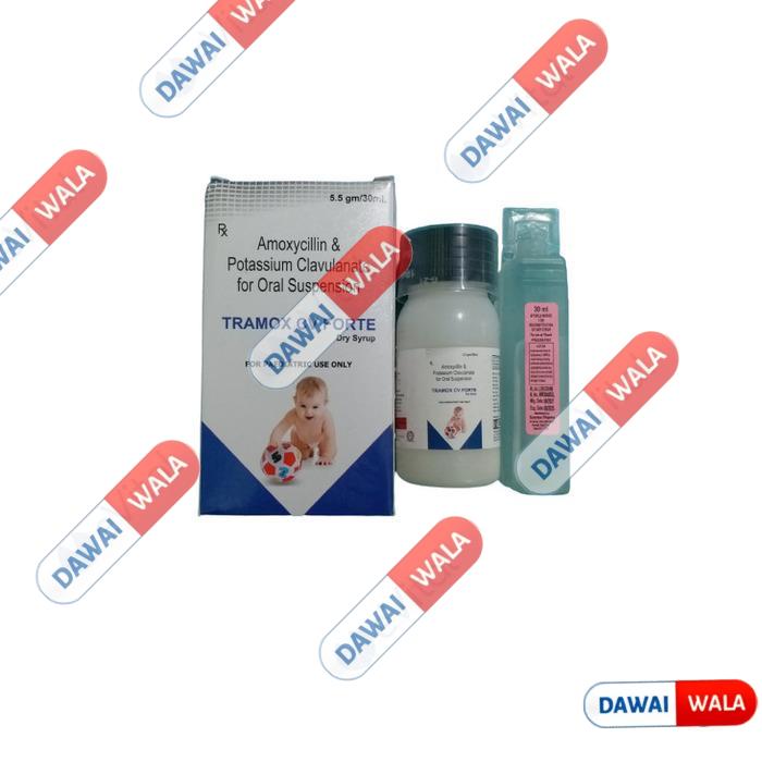 Tramox CV Forte Dry Syrup