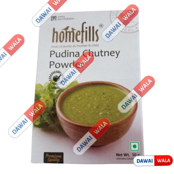 Homefills Pudina Chutney Powder