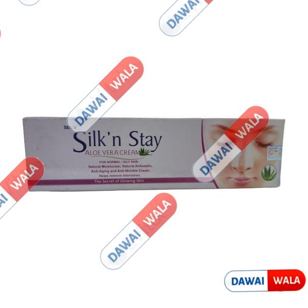 Silk N Stay Aloevera Cream Normal/Oily Skin