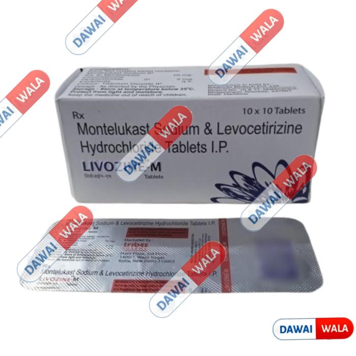 Livozine-M Tablet