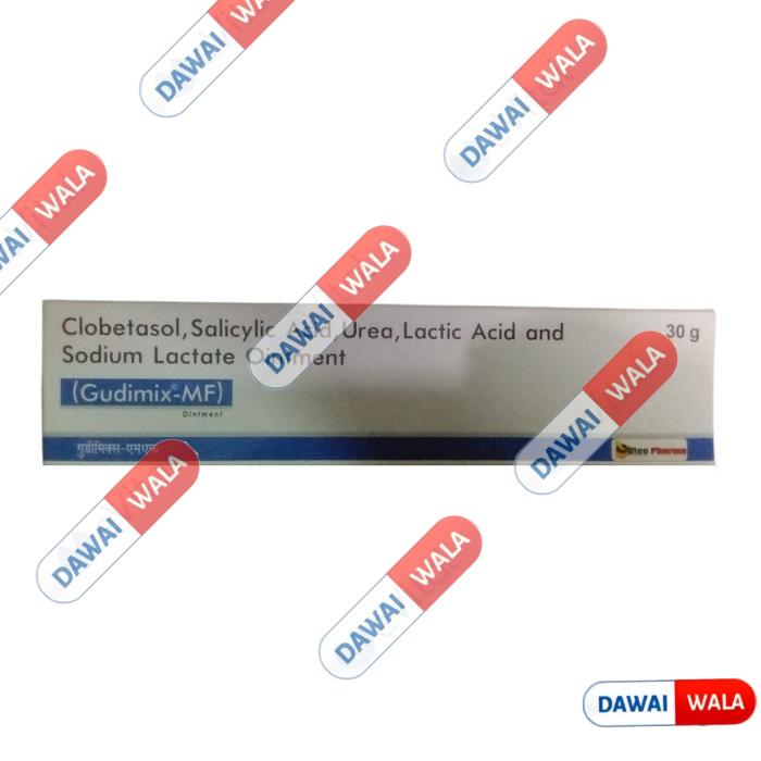 Gudimix-MF Ointment