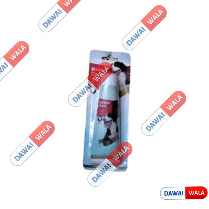 Dental Care Tooth Paste Medium