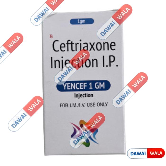 Yencef 1gm Injection