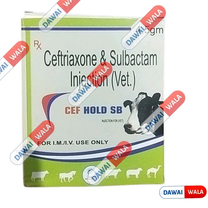 Cef Hold SB Injection (Vet)