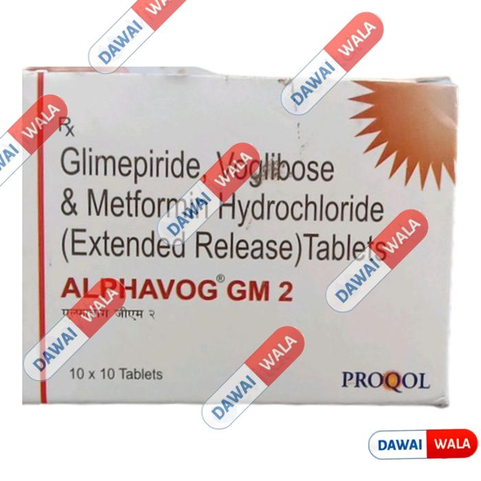 Alphavog GM 2 Tablet