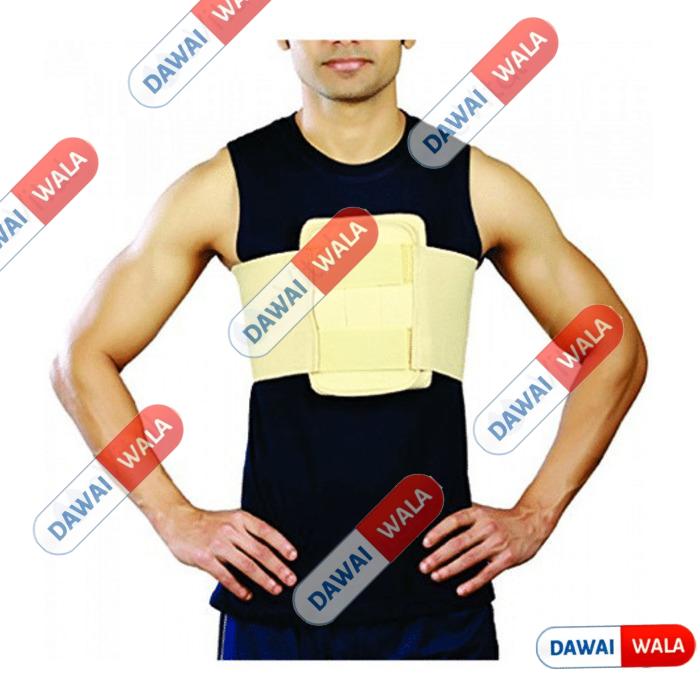 Rib Support L (E-03)